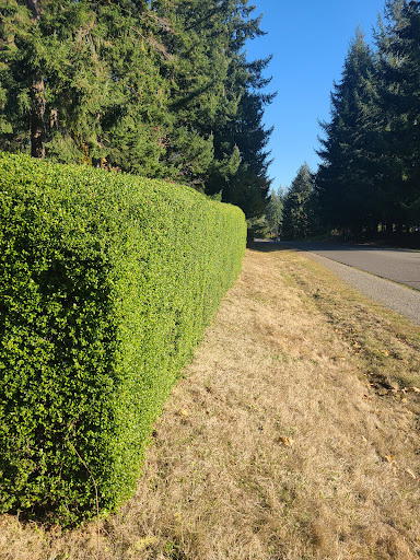 Landscaping Services